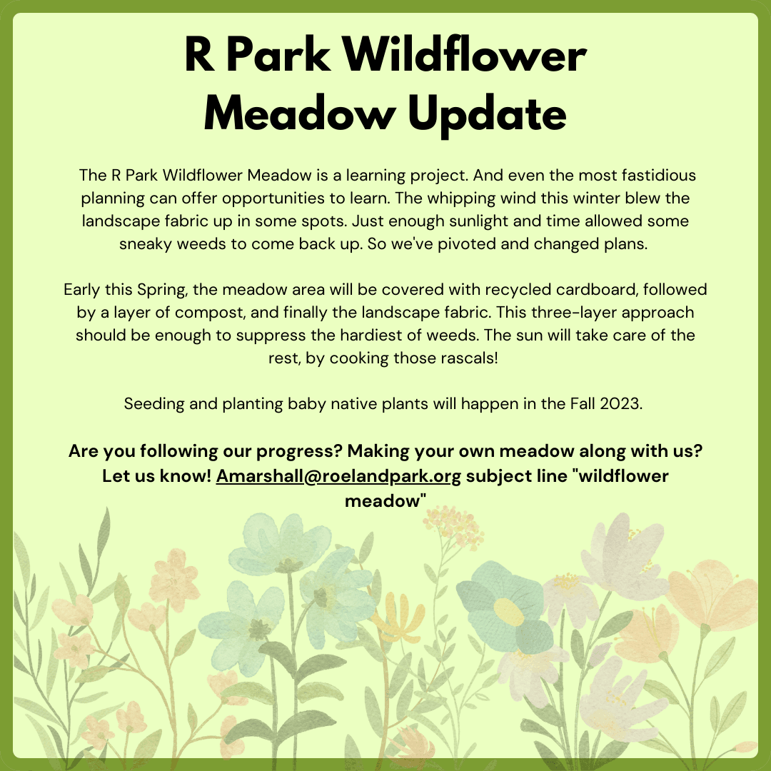 R Park Wildflower Update 2.15.23 Opens in new window